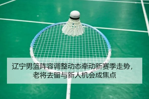 辽宁男篮阵容调整动态牵动新赛季走势，老将去留与新人机会成焦点 | Kering